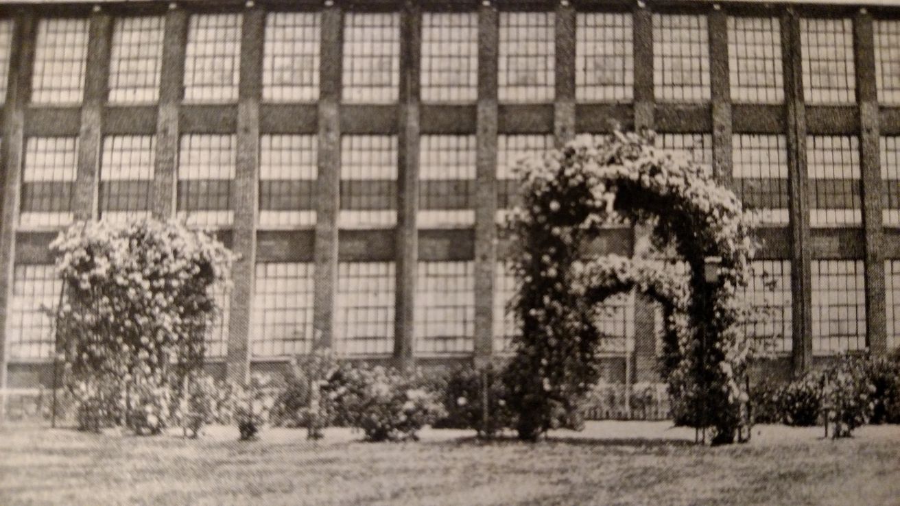 Stehli History Rose Arbors